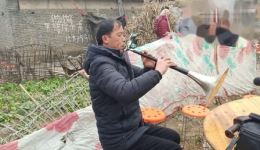 南阳关