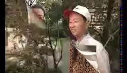 大哥大2