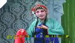 老版黄梅戏《小辞店》郭幼华谢应龙经典演绎，折子戏珍藏，领略传统戏曲韵味下载