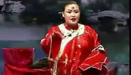 二人转拉场戏《开棺验尸》全集在线观看 - 小豆豆张涛等名家经典演绎下载