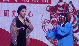四平调《小包公》全场高清下载｜付梅王乐丹经典演绎，传承戏曲艺术精髓下载