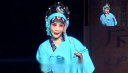 河北梆子《窦娥冤》上集下载，许荷英刘凤岭主演，经典悲剧全本资源下载