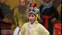 真假牡丹