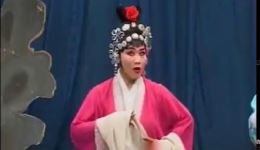 真假牡丹