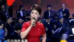 沁园春 雪