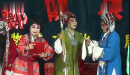 大宋金鸠记