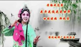 免费黄梅戏《花开花放花花世界》高清下载 甘利琼演唱经典选段资源下载