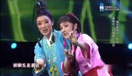 黄梅戏经典《对花》杨俊演唱，正宗黄梅调对花选段在线下载下载