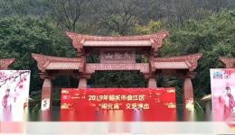 滑稽戏《活宝》范金凤精彩演绎,爆笑喜剧在线观看下载 滑稽戏《活宝》范金凤精彩演绎,爆笑喜剧在线观看下载