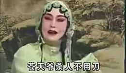 眉户戏《寡妇哭坟》经典选段下载，传统戏曲悲情佳作在线获取