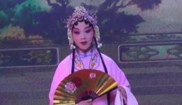 宜黄戏《游园》高清正版资源下载 - 国家级下载 宜黄戏《游园》高清正版资源下载 - 国家级下载