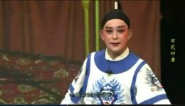 万花归唐