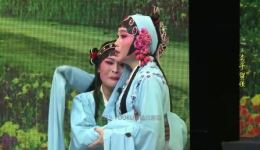 卖子留侄