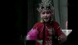 神池道情经典《游花园》在线观看下载 - 宋丽韩桂花主演高清戏曲资源