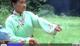 梁山伯还魂