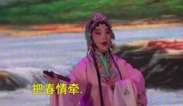 宜黄戏经典《游园》广升演出,非遗戏曲视频字下载 宜黄戏经典《游园》广升演出,非遗戏曲视频字下载
