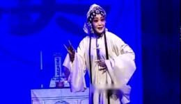 淮剧《玉蜻蜓》高清资源下载｜刘凯军王芳柏华主演经典戏曲全剧在线获取下载
