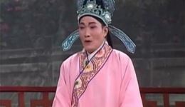 玉蜻蜓