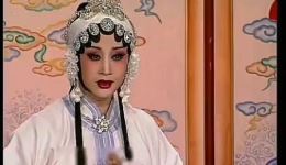 宋丽评剧艺术集锦经典剧目选段精选，沉浸式领略评剧名家风采