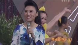 黄梅戏《对花》选段下载 吴琼经典演唱 梨园春戏曲资源 黄梅戏《对花》选段下载 吴琼经典演唱 梨园春戏曲资源
