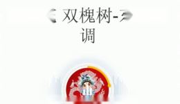 杨金花淮调《双槐树》选段在线下载,经典戏曲选段资源 杨金花淮调《双槐树》选段在线下载,经典戏曲选段资源