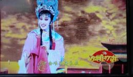 芗剧《打金枝》全场高清下载-简韦立陈淑丽主演经典芗剧资源下载