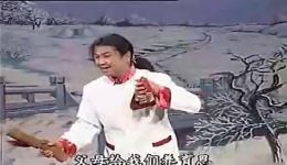 河南坠子十三不亲