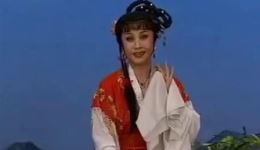 评剧《人面桃花》宋丽演唱经典选段，风旋碟舞团成阵精彩呈现下载