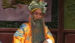 豫剧《狸猫换太子》八贤王打朝洪先礼、冯留智同台演绎，宫廷权谋大戏在线下载下载