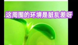 京东大鼓《门头沟》周永华精彩演绎，传统曲艺尽显京西风情与乡愁记忆