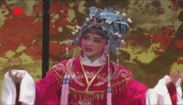 经典越剧折子戏《打金枝·闯宫》在线观看下