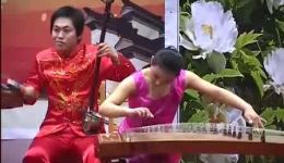 山东琴书《送金匾》在线下载，经典曲艺作品免费获取，传承非遗艺术
