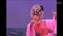 河北梆子《杜十娘》选段韩建华演唱杜薇逃出烟花院，经典戏曲在线畅享