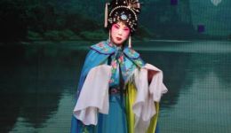 豫剧《泪洒相思地》潘迎迎刘豹经典演唱，名家演绎相思大戏在线下载下载