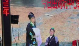 宁都采茶戏《卖妙郎》高清资源下载｜卢伏珍等经典演绎，客家戏曲佳作速存下载