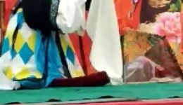茂腔《罗衫记》选段下载,王兆花经典演唱,传统戏曲精彩呈现 茂腔《罗衫记》选段下载,王兆花经典演唱,传统戏曲精彩呈现