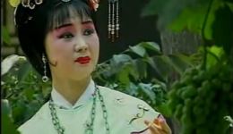 秦腔经典演唱专辑名家珍藏丑角戏与眉户戏精品在线下载 秦腔经典演唱专辑名家珍藏丑角戏与眉户戏精品在线下载