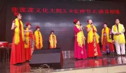 二人台经典《拜年》张莲主演，新春拜年温情演绎，免费戏曲资源下载下载
