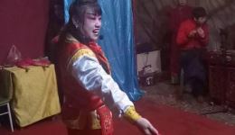 牧牛