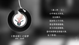 梨花情