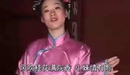 蠢子接姨娘
