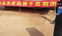 柳子戏《盘马》高清下载 定陶柳子剧团主演 传统戏曲资源在线获取 柳子戏《盘马》高清下载 定陶柳子剧团主演 传统戏曲资源在线获取