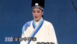 潮剧《王金龙命中不幸》林初发精彩演绎，经典戏曲在线下载！下载
