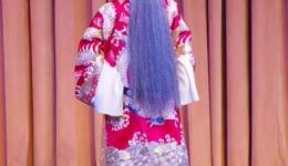 上党落子经典《孙安动本》节选 苏旭斌名家精彩演绎 清廉诤臣故事在线畅听下载