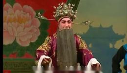 真假金牡丹