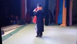 杨八姐盗刀