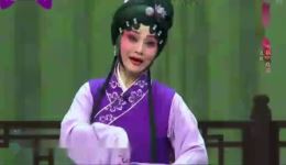 寒窑记.燕飞来