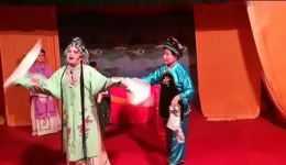 小姑不贤