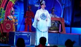 雷剧《楚雄杰审妻》第五场高清资源下载 - 经典戏曲全场精选