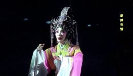 倾国名花